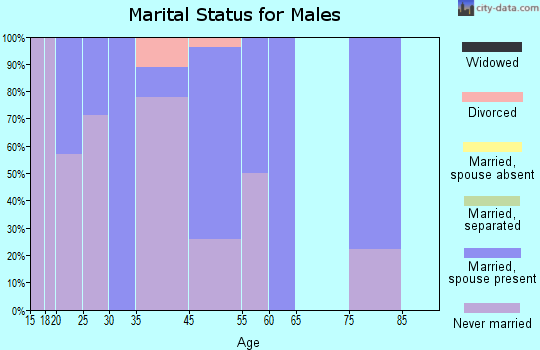 Shaktoolik marital status for males