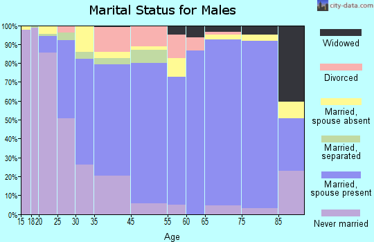 Storm Lake marital status for males