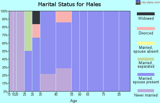 Stout marital status for males