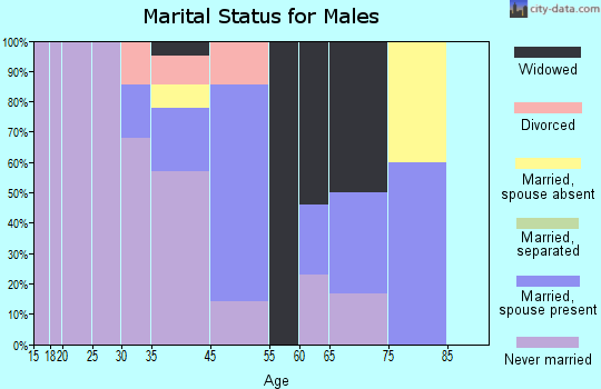 Shishmaref marital status for males