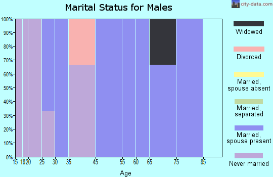 Toronto marital status for males