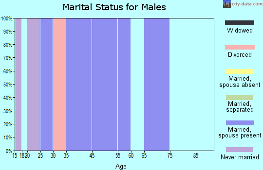Turin marital status for males