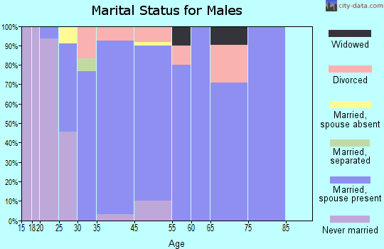 Van Meter marital status for males