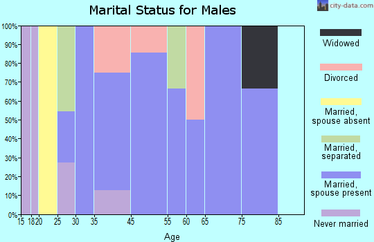 Wadena marital status for males