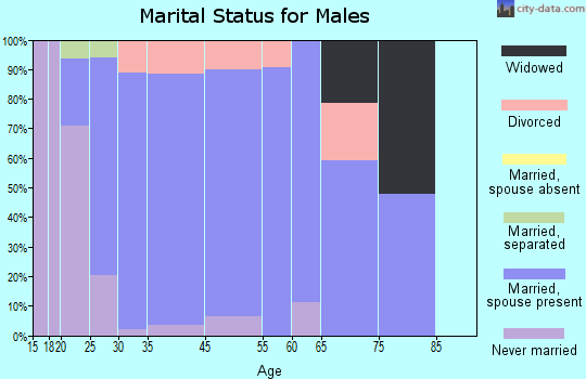 Waukee marital status for males