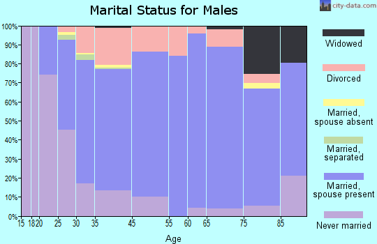 Webster City marital status for males