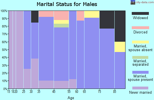 Wellsburg marital status for males