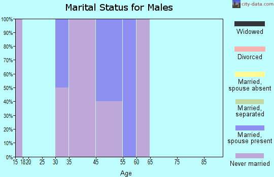 Sleetmute marital status for males