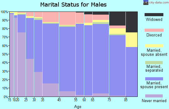 West Des Moines marital status for males