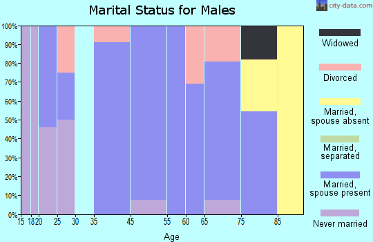 West Okoboji marital status for males