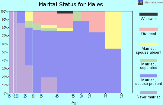 Soldotna marital status for males
