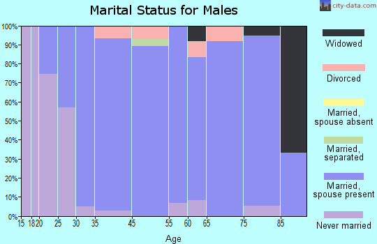 Williamsburg marital status for males