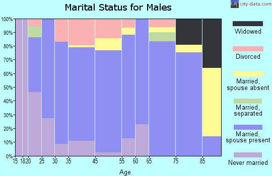 Winterset marital status for males