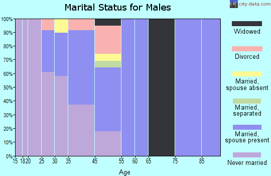 Stebbins marital status for males