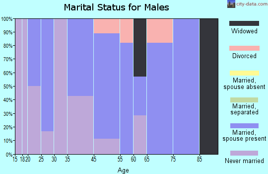 Woolstock marital status for males