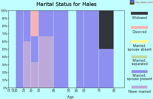 Yorktown marital status for males
