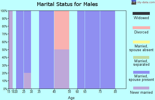 Agenda marital status for males