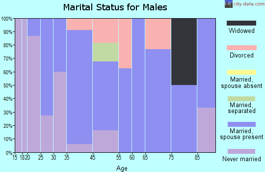 Alta Vista marital status for males