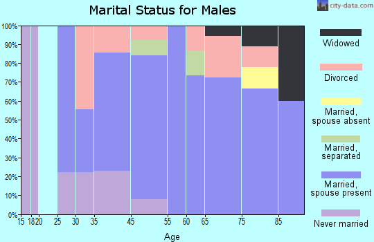 Altoona marital status for males