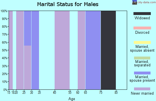 Stony River marital status for males