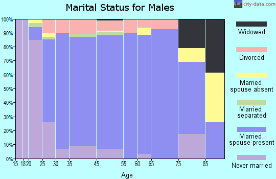 Baldwin City marital status for males