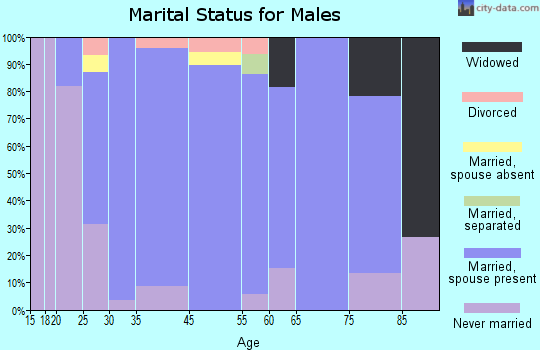 Bel Aire marital status for males