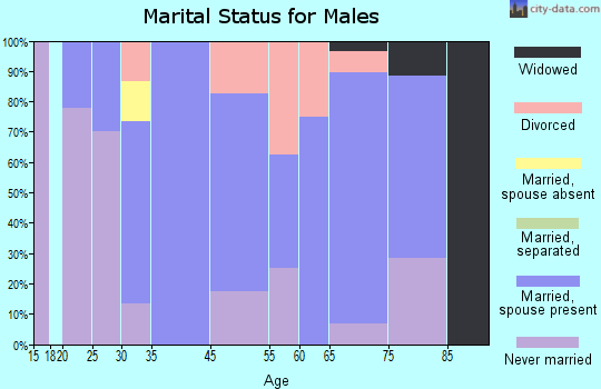 Bird City marital status for males