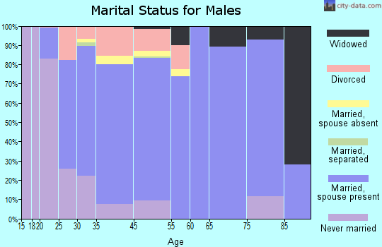 Bonner Springs marital status for males