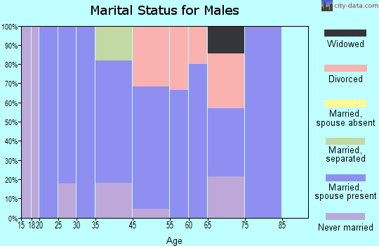 Bronson marital status for males