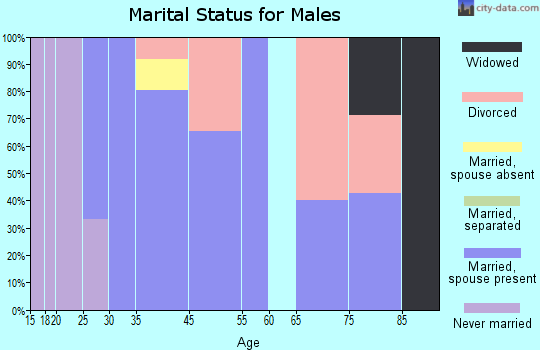 Brookville marital status for males