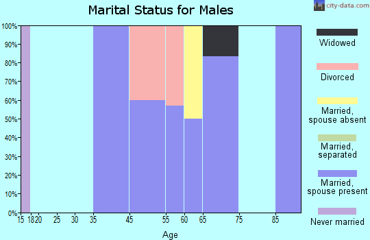 Chautauqua marital status for males