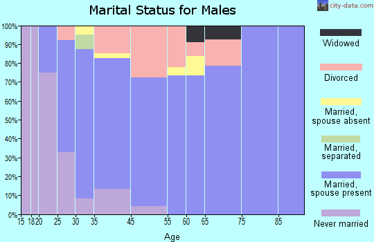 De Soto marital status for males