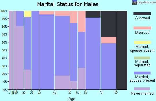Effingham marital status for males