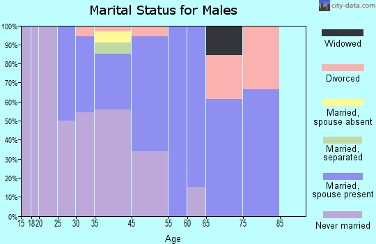 Togiak marital status for males