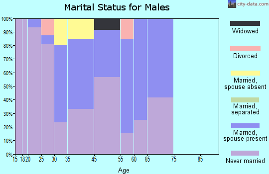 Toksook Bay marital status for males
