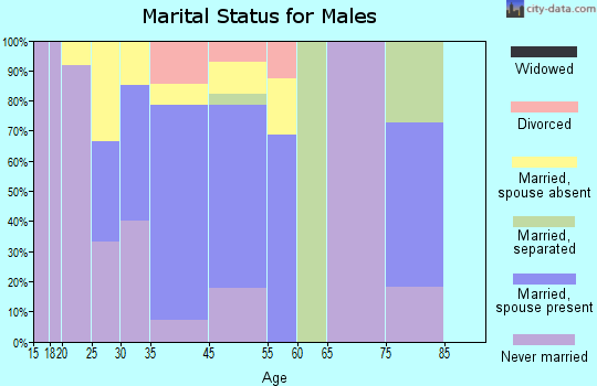 Tuluksak marital status for males