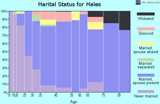 Hill City marital status for males