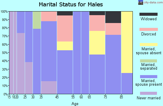 Jamestown marital status for males