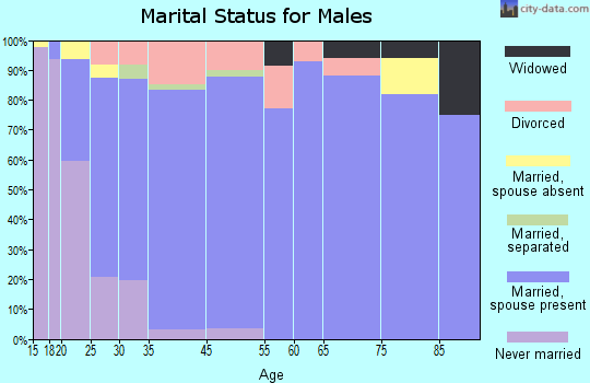 Lakin marital status for males