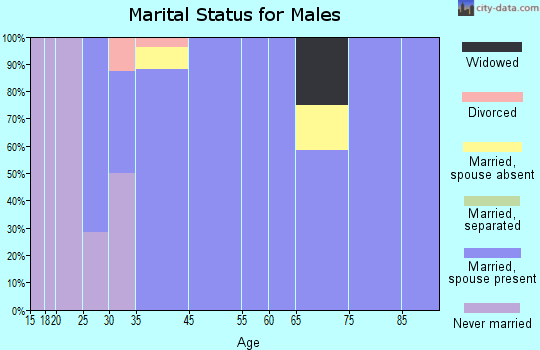 Lancaster marital status for males