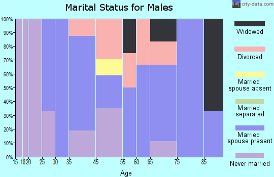 Lebanon marital status for males