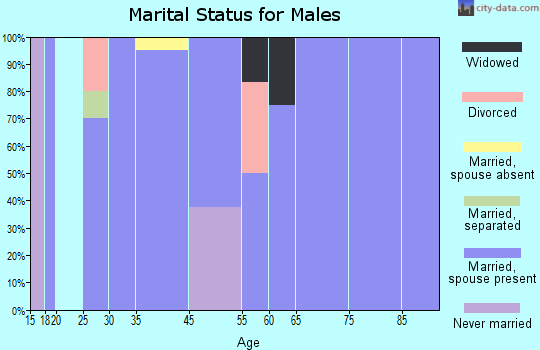 Lehigh marital status for males