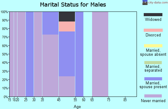 Wales marital status for males