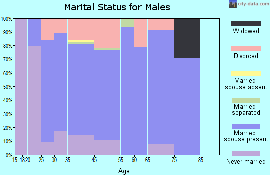Wasilla marital status for males