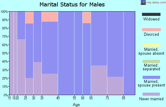Olpe marital status for males