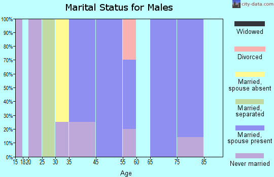 Palmer marital status for males