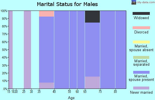 Prairie View marital status for males