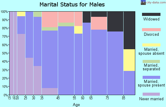 Scott City marital status for males