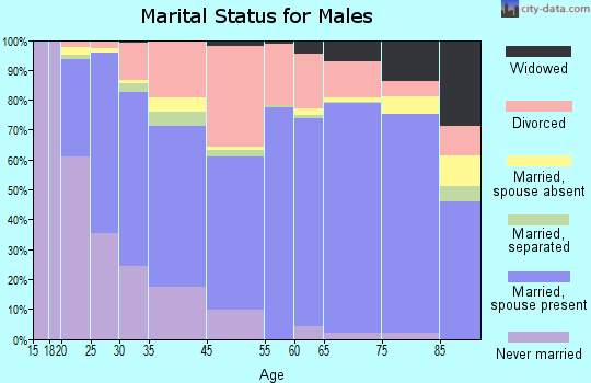 Apache Junction marital status for males