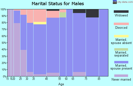 Silver Lake marital status for males
